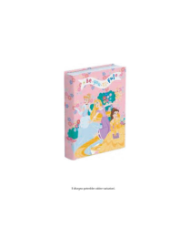 PRINCESS DIARY 10 MONTH