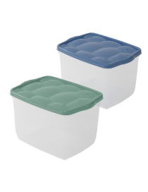 GREEN/BLUE BOX TURTLE 40x30x25cm