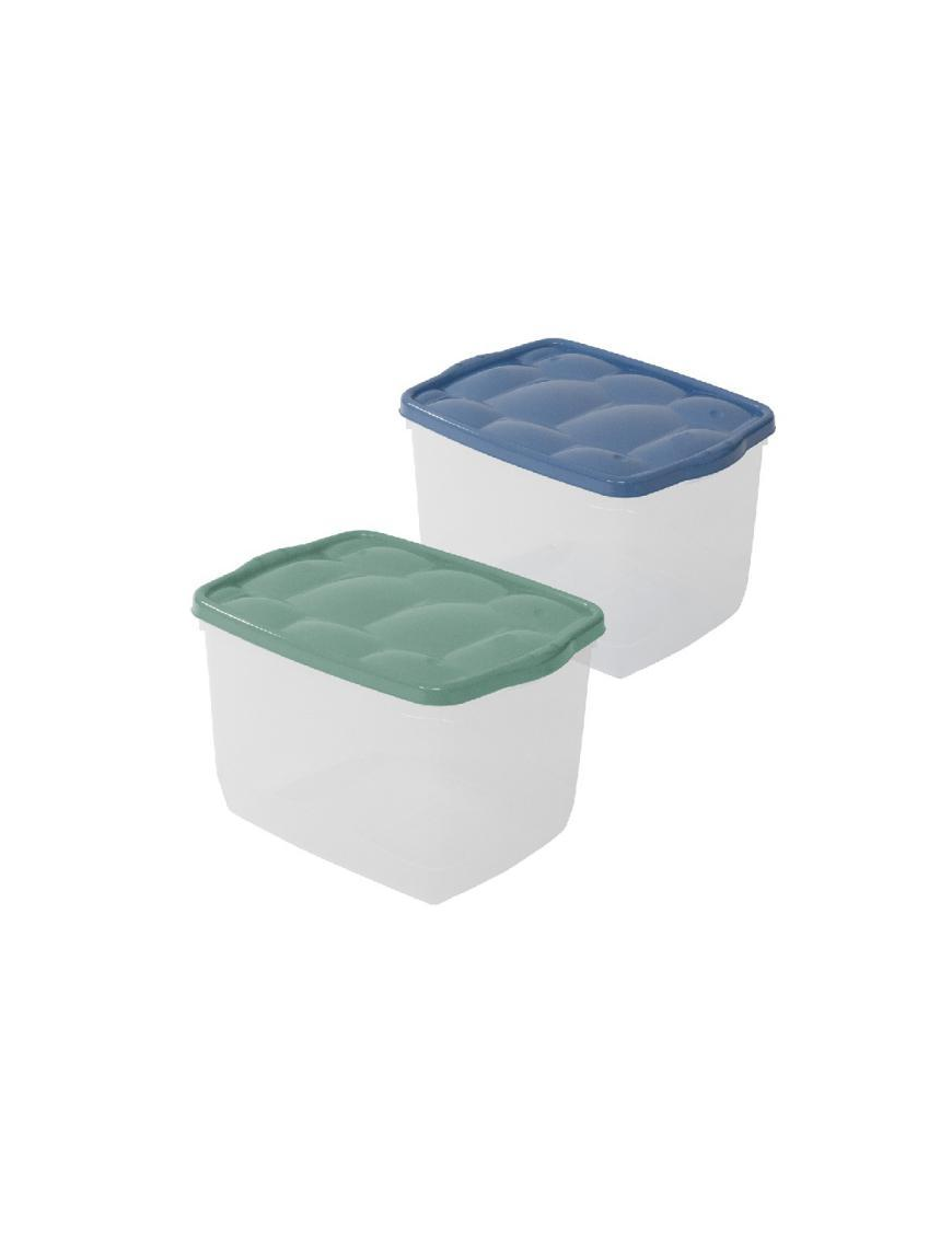 GREEN/BLUE BOX TURTLE 40x30x25cm