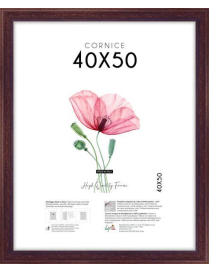 POOR ART FRAME 40x50 CENTIMETERS