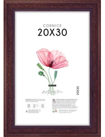 POOR ART FRAME 20x30 CENTIMETERS