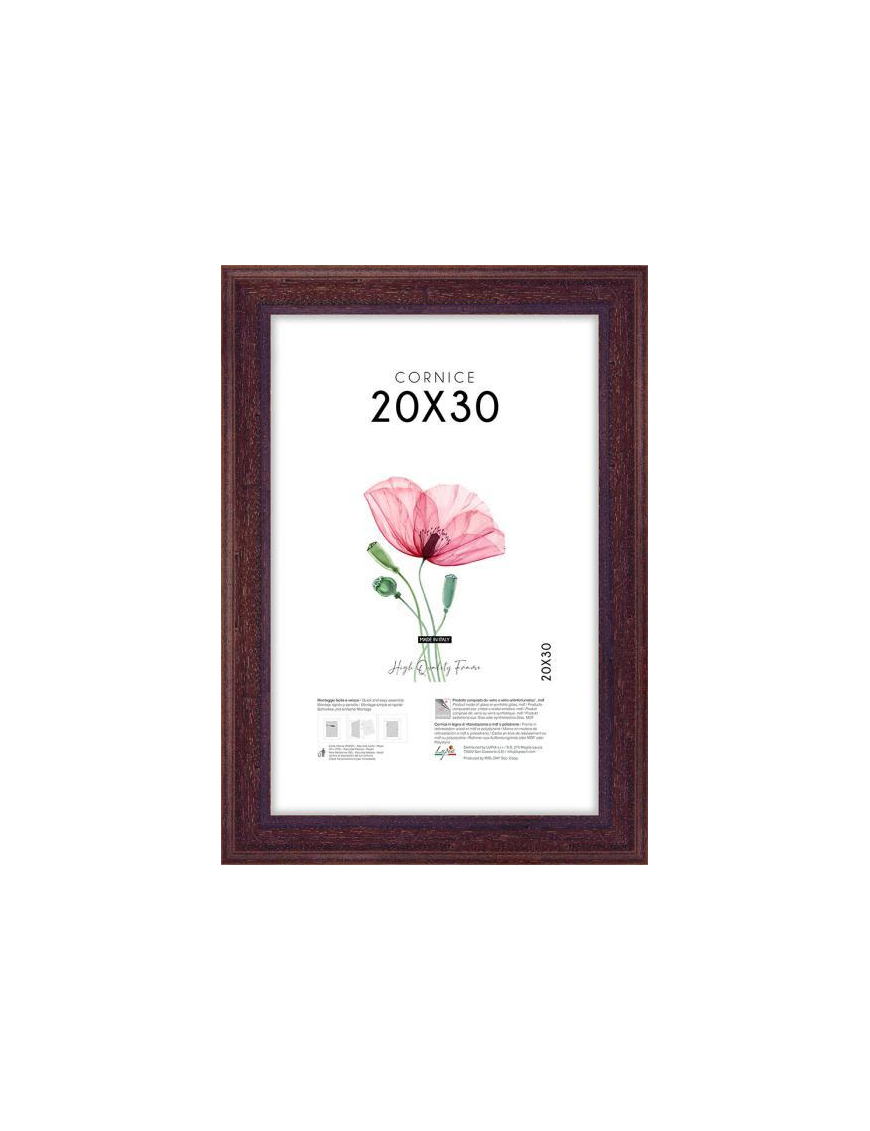 POOR ART FRAME 20x30 CENTIMETERS
