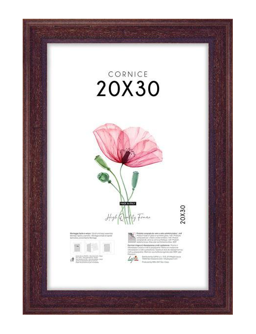 POOR ART FRAME 20x30 CENTIMETERS