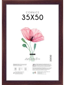 POOR ART FRAME 35x50 CENTIMETERS