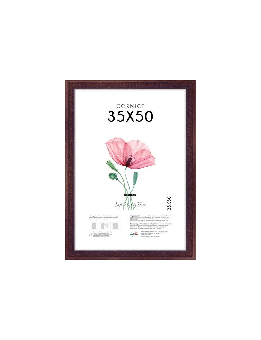 POOR ART FRAME 35x50 CENTIMETERS