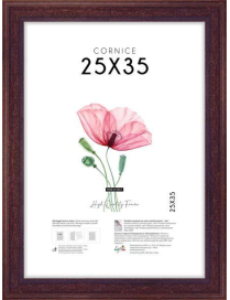 POOR ART FRAME 25x35 CENTIMETERS