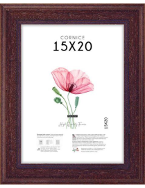 POOR ART FRAME 15x20 CENTIMETERS