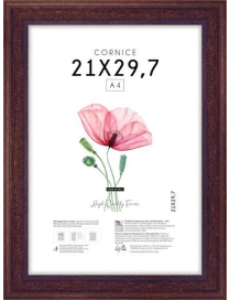 POOR ART FRAME 21x29.7 CENTIMETERS
