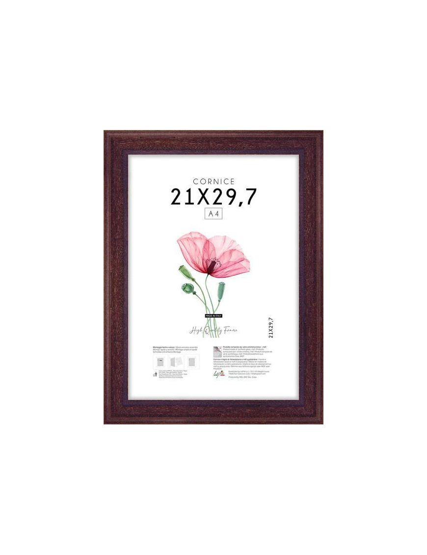 POOR ART FRAME 21x29.7 CENTIMETERS