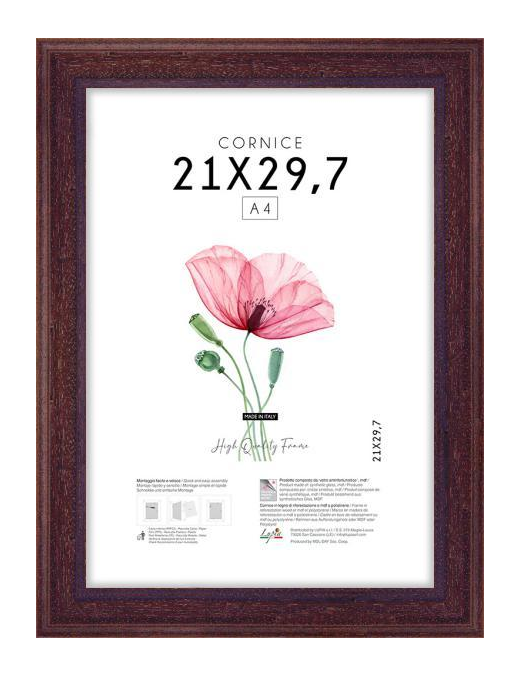 POOR ART FRAME 21x29.7 CENTIMETERS