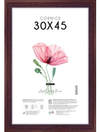 POOR ART FRAME 30x45 CENTIMETERS