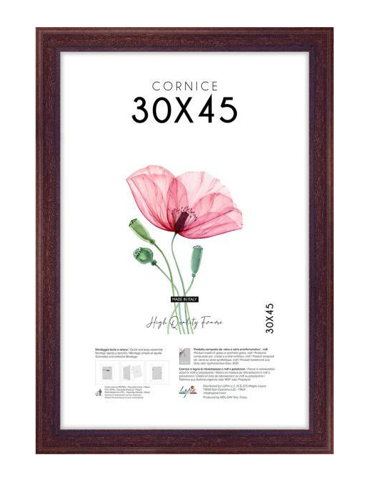 POOR ART FRAME 30x45 CENTIMETERS