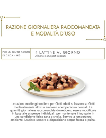 GOURMET GOLD 85gr DADINI SALMONE E POLLO