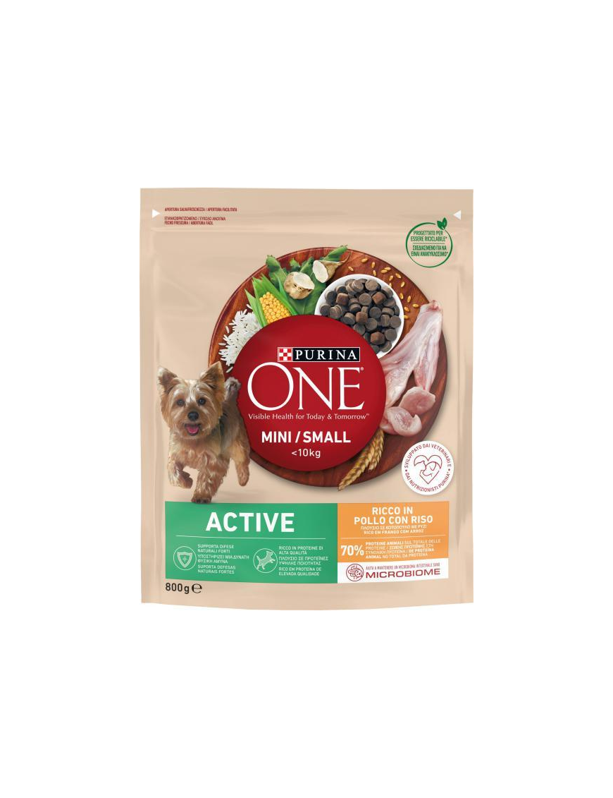 PURINA ONE MINI 800gr ACTIVE POLLO E RISO