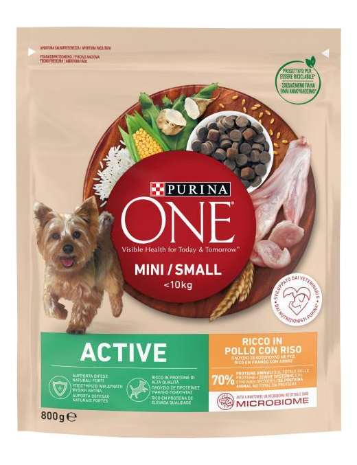 PURINA ONE MINI 800gr ACTIVE POLLO E RISO