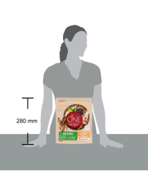 PURINA ONE MINI 800gr ACTIVE POLLO E RISO