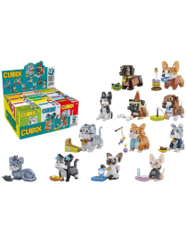 CANI E GATTI