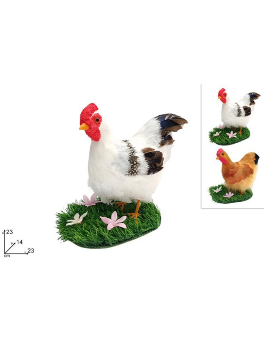 HEN 23cm ON GRASS