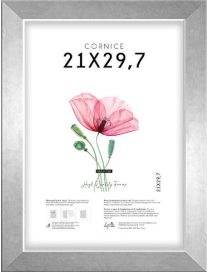 SILVER SQUARE FRAME 21x29.7cm