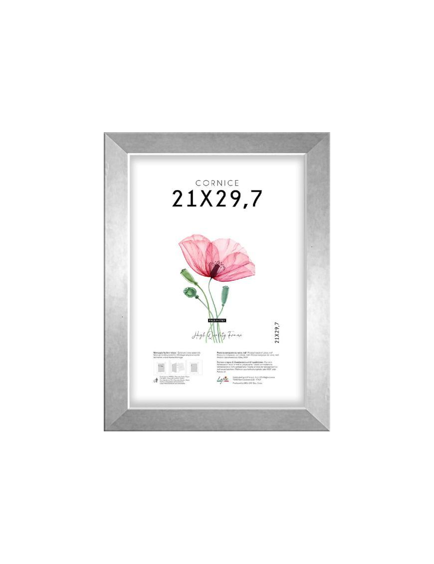SILVER SQUARE FRAME 21x29.7cm