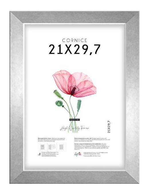 CORNICE QUADRA ARGENTO 21x29,7cm