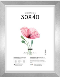 CORNICE QUADRA ARGENTO 30x40cm