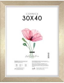 GOLD SQUARE FRAME 30x40cm