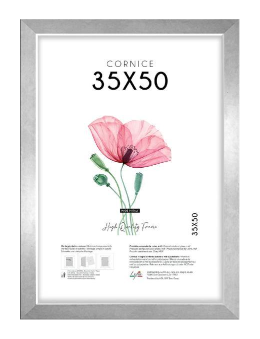 CORNICE QUADRA ARGENTO 35x50cm