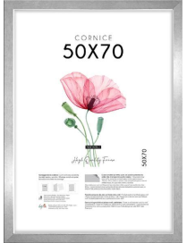 CORNICE QUADRA ARGENTO 50x70cm