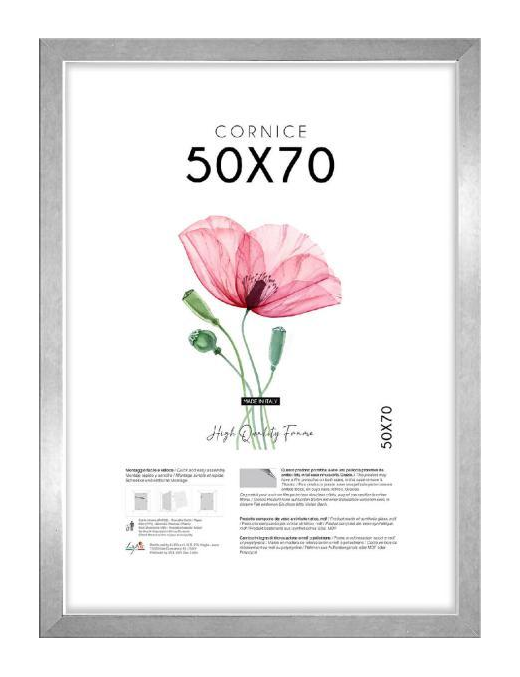 CORNICE QUADRA ARGENTO 50x70cm