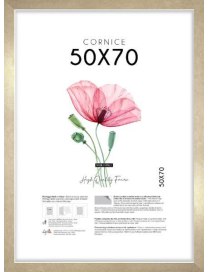 GOLD SQUARE FRAME 50x70cm
