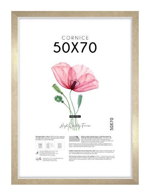 CORNICE QUADRA ORO 50x70cm