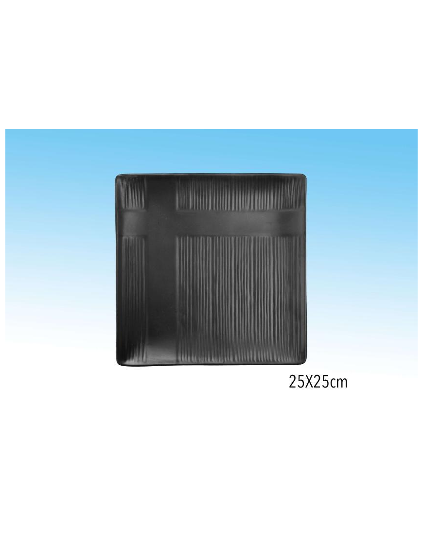 BLACK LINE ORGANIC SQUARE PLATE 25cm