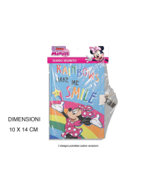 MINNIE SECRET DIARY 14.8x10cm