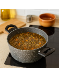 LINEA NEW EXTRA RAPID INDUZIONE CASSERUOLA 2 MANICI 24cm