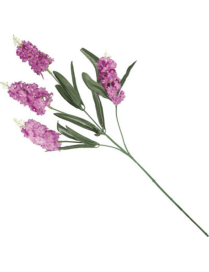 LILAC DOOR STEM