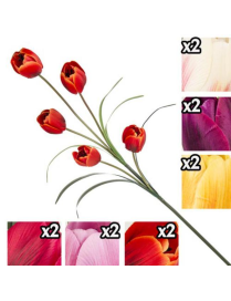 TULIP STEM 5 FLOWERS