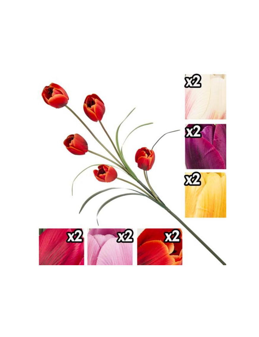 STELO TULIPANO 5 FIORI