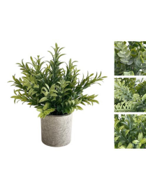 GREEN PLANT 22 CENTIMETERS