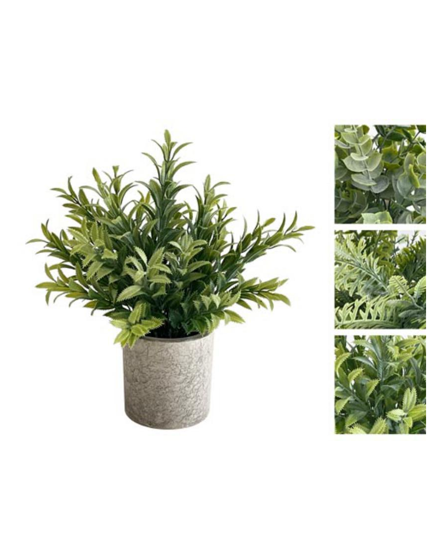 PIANTA GREEN 22 CENTIMETRI