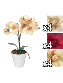 PIANTA ORCHIDEA 31 CENTIMETRI