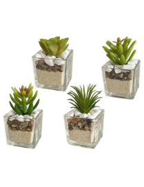 SUCCULENT PLANT GLASS VASE 5x9cm