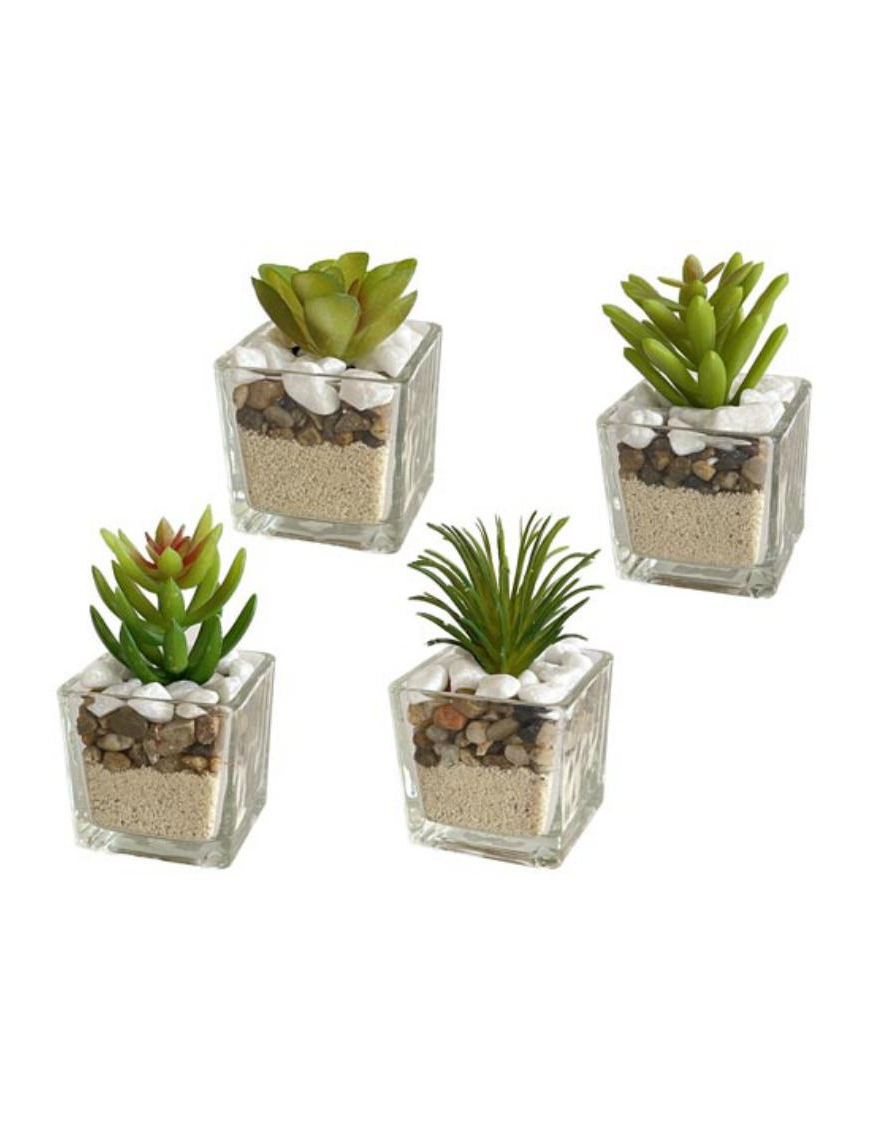 PIANTA GRASSA VASO VETRO  5x9cm