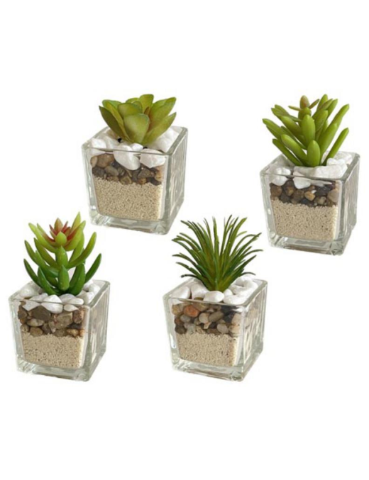 SUCCULENT PLANT GLASS VASE 5x9cm