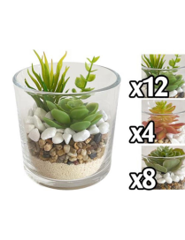 PIANTA GRASSA VASO VETRO 10x10 CENTIMETRI