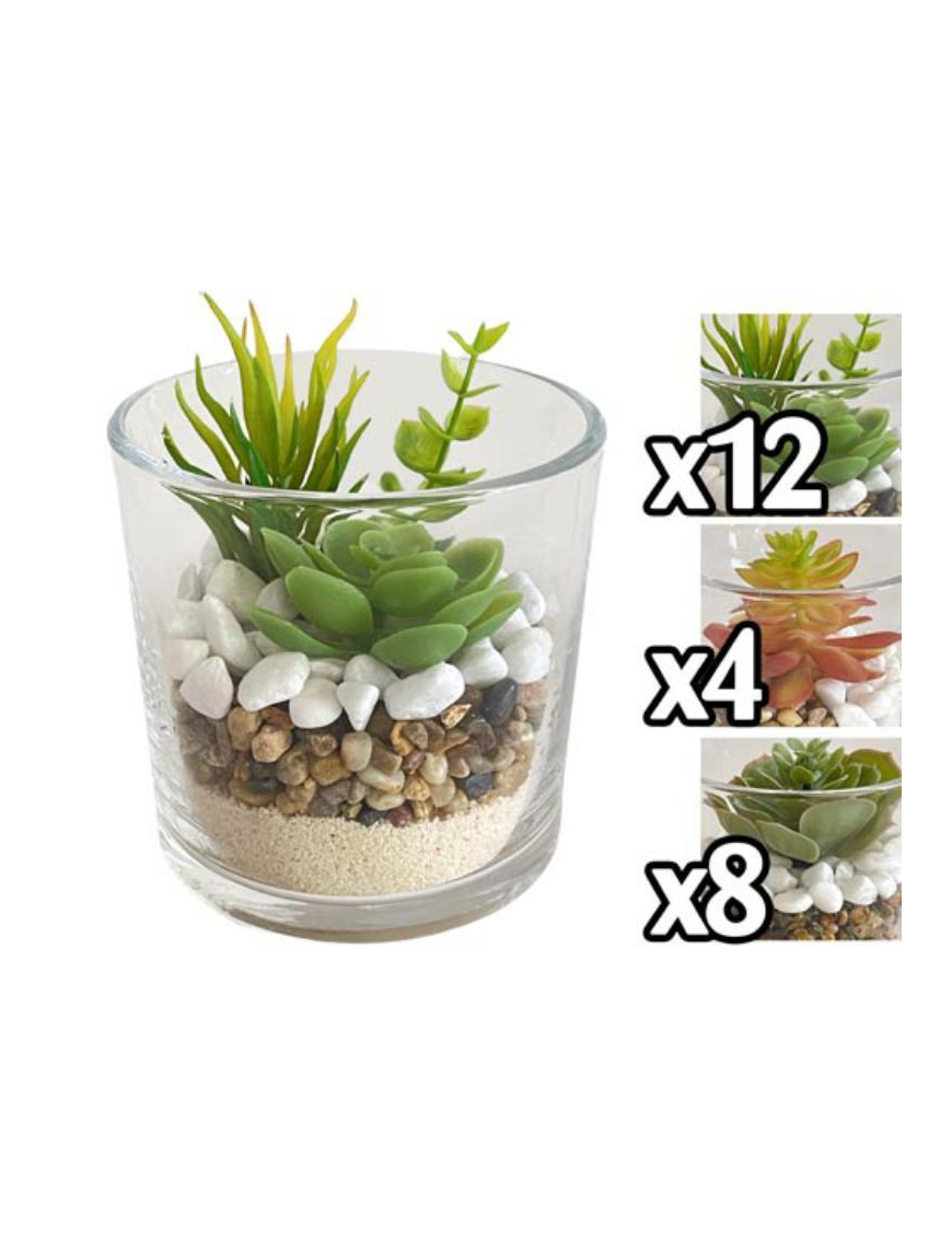 SUCCULENT PLANT GLASS VASE 10x10 CENTIMETERS