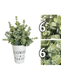SUCCULENT FLOWEReGARDEN PLANT 24 CENTIMETERS