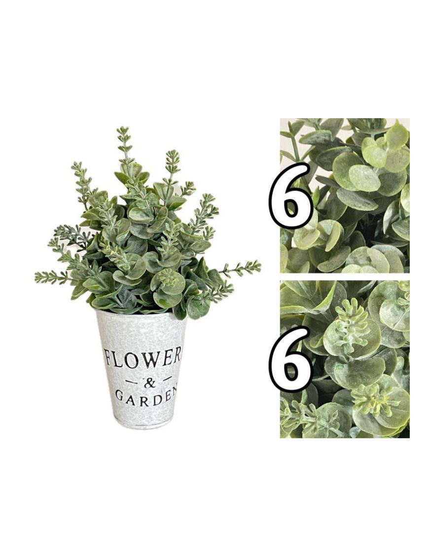 SUCCULENT FLOWEReGARDEN PLANT 24 CENTIMETERS