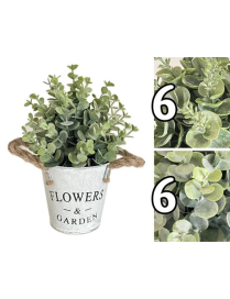 PIANTA FLOWEReGARDEN GRASSA 23 CENTIMETRI