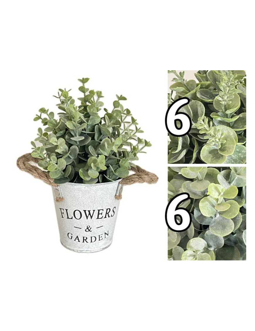 PIANTA FLOWEReGARDEN GRASSA 23 CENTIMETRI